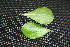  ( - BioBot00014)  @11 [ ] Copyright (2010) Unspecified Unspecified