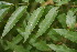  ( - BioBot00018)  @11 [ ] Copyright (2010) Unspecified Unspecified