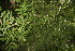  ( - BioBot00018)  @11 [ ] Copyright (2010) Unspecified Unspecified