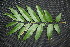  ( - BioBot00020)  @11 [ ] Copyright (2010) Unspecified Unspecified