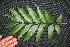 ( - BioBot00020)  @11 [ ] Copyright (2010) Unspecified Unspecified