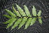  ( - BioBot00020)  @11 [ ] Copyright (2010) Unspecified Unspecified
