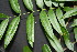  ( - BioBot00021)  @11 [ ] Copyright (2010) Unspecified Unspecified