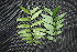  ( - BioBot00021)  @11 [ ] Copyright (2010) Unspecified Unspecified