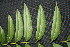  ( - BioBot00021)  @11 [ ] Copyright (2010) Unspecified Unspecified