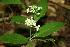  ( - BioBot00057)  @11 [ ] Copyright (2010) Unspecified Unspecified