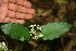  ( - BioBot00057)  @11 [ ] Copyright (2010) Unspecified Unspecified
