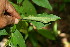  ( - BioBot00057)  @11 [ ] Copyright (2010) Unspecified Unspecified