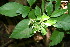  ( - BioBot00058)  @11 [ ] Copyright (2010) Unspecified Unspecified