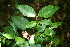  ( - BioBot00058)  @11 [ ] Copyright (2010) Unspecified Unspecified