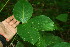  ( - BioBot00059)  @11 [ ] Copyright (2010) Unspecified Unspecified