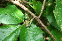  ( - BioBot00063)  @11 [ ] Copyright (2010) Unspecified Unspecified