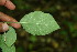  ( - BioBot00064)  @11 [ ] Copyright (2010) Unspecified Unspecified
