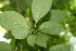  ( - BioBot00066)  @11 [ ] Copyright (2010) Unspecified Unspecified