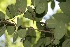  ( - BioBot00066)  @11 [ ] Copyright (2010) Unspecified Unspecified