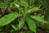  ( - BioBot00068)  @11 [ ] Copyright (2010) Unspecified Unspecified