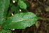  ( - BioBot00068)  @11 [ ] Copyright (2010) Unspecified Unspecified