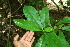  ( - BioBot00069)  @11 [ ] Copyright (2010) Unspecified Unspecified
