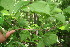  ( - BioBot00070)  @11 [ ] Copyright (2010) Unspecified Unspecified