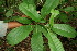  ( - BioBot00073)  @11 [ ] Copyright (2010) Unspecified Unspecified