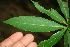  ( - BioBot00085)  @11 [ ] Copyright (2010) Unspecified Unspecified