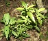  ( - BioBot00086)  @11 [ ] Copyright (2010) Unspecified Unspecified