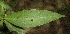  ( - BioBot00086)  @11 [ ] Copyright (2010) Unspecified Unspecified