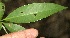  ( - BioBot00086)  @11 [ ] Copyright (2010) Unspecified Unspecified