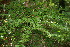  ( - BioBot00087)  @11 [ ] Copyright (2010) Unspecified Unspecified