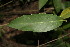  ( - BioBot00088)  @11 [ ] Copyright (2010) Unspecified Unspecified