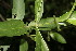  ( - BioBot00088)  @11 [ ] Copyright (2010) Unspecified Unspecified