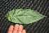  ( - BioBot00090)  @11 [ ] Copyright (2010) Unspecified Unspecified