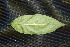  ( - BioBot00090)  @11 [ ] Copyright (2010) Unspecified Unspecified