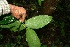  ( - BioBot00104)  @11 [ ] Copyright (2010) Unspecified Unspecified