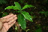  ( - BioBot00105)  @11 [ ] Copyright (2010) Unspecified Unspecified