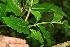  ( - BioBot00106)  @11 [ ] Copyright (2010) Unspecified Unspecified