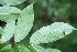  ( - BioBot00119)  @11 [ ] Copyright (2010) Unspecified Unspecified