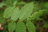  ( - BioBot00121)  @11 [ ] Copyright (2010) Unspecified Unspecified