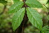  ( - BioBot00121)  @11 [ ] Copyright (2010) Unspecified Unspecified