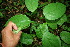  ( - BioBot00125)  @11 [ ] Copyright (2010) Unspecified Unspecified