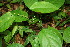 ( - BioBot00125)  @11 [ ] Copyright (2010) Unspecified Unspecified