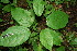  ( - BioBot00126)  @11 [ ] Copyright (2010) Unspecified Unspecified