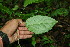  ( - BioBot00126)  @11 [ ] Copyright (2010) Unspecified Unspecified