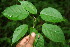  ( - BioBot00127)  @11 [ ] Copyright (2010) Unspecified Unspecified