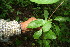  ( - BioBot00129)  @11 [ ] Copyright (2010) Unspecified Unspecified