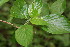  ( - BioBot00130)  @11 [ ] Copyright (2010) Unspecified Unspecified