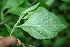  ( - BioBot00130)  @11 [ ] Copyright (2010) Unspecified Unspecified