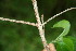  ( - BioBot00130)  @11 [ ] Copyright (2010) Unspecified Unspecified