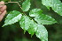  ( - BioBot00131)  @11 [ ] Copyright (2010) Unspecified Unspecified