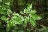  ( - BioBot00132)  @11 [ ] Copyright (2010) Unspecified Unspecified